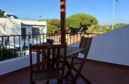 Romã do Meco - Foto 13