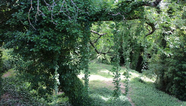 Molinos De Fuenteheridos - Foto 5