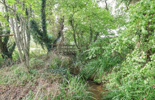 Rhydonnen Bach - Foto 33