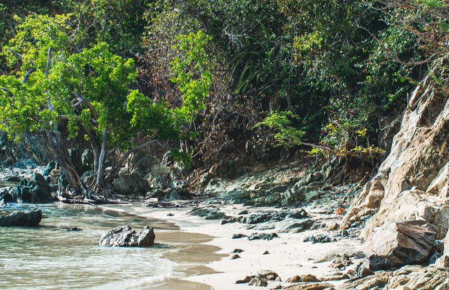 Visite à la découverte des plages de Saint Thomas - Photo 3