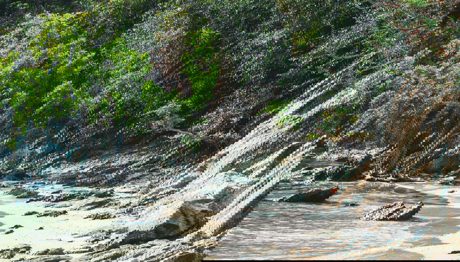 Visite à la découverte des plages de Saint Thomas