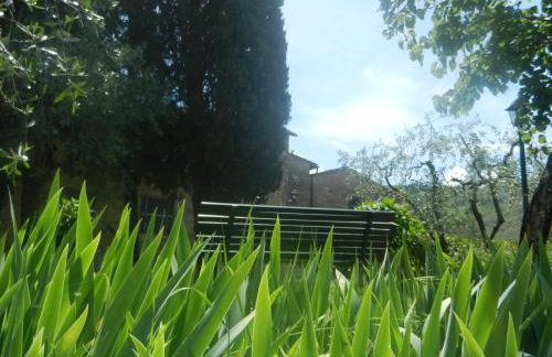 Podere San Giusto - Foto 35