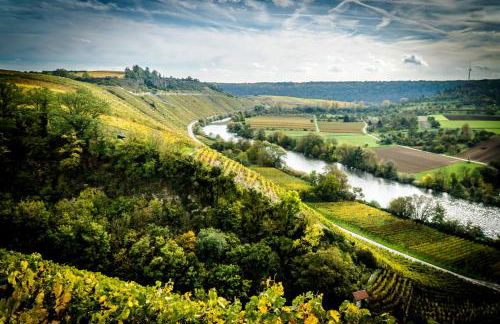 Charmantes TINY HOUSE Apartment in Besigheim mit Gartenblick und zentrale Lage - Foto 23