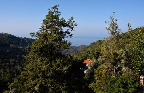House in Εndless green - Arethousa, Ikaria - Photo 51