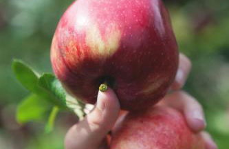 MeranoView Apartments - Foto 58