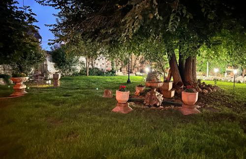 La Cija Olmedo - Foto 57