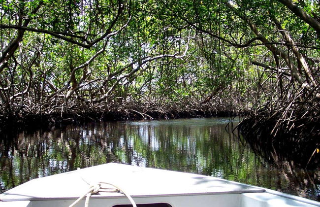 Traslado a Atins en lancha rápida - Foto 3