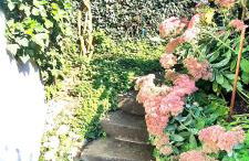 Das kleine Paradies - Foto 36