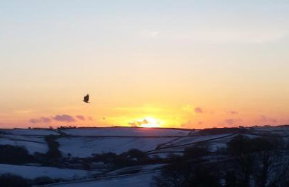 South Holm - Photo 46