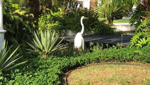 Apartamento Wembley Tenis - Toninhas - Ubatuba - Foto 5