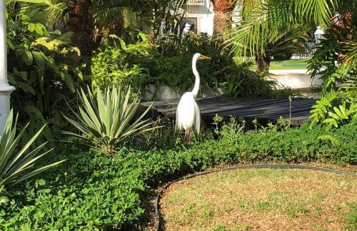 Apartamento Wembley Tenis - Toninhas - Ubatuba - Foto 5