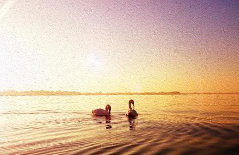 Casa Vacanza & Suite Joy - Foto 65