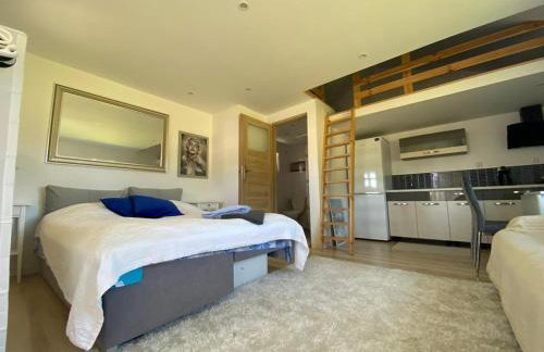 DarWik Domki Letniskowe - Foto 2