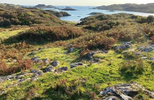 Little Cottage-village of Bunessan-sleeps4 - Foto 37