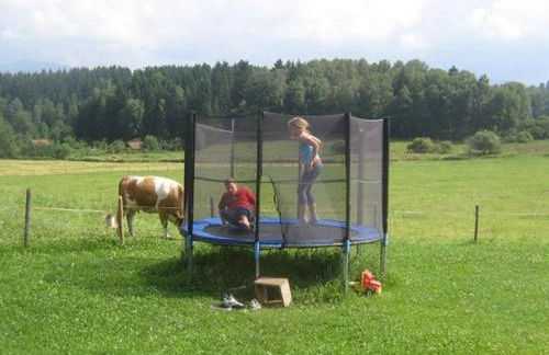 Bauernhof Bauer - Foto 11