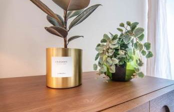 Château de Dracy L Élégante - Foto 7