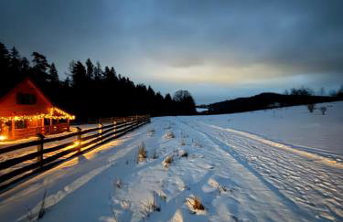 Okno na las - Foto 56