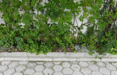 Apartments Kaskada - Foto 55