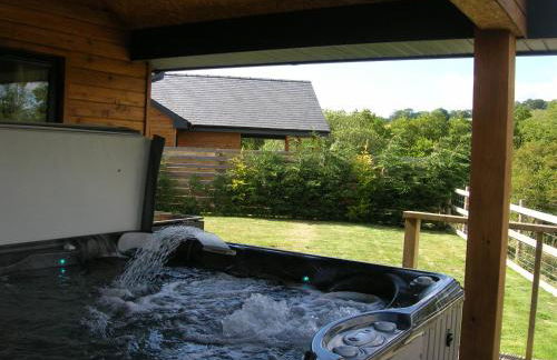 Woodland Lodge Hot Tub Sleeps 6 - Photo 31