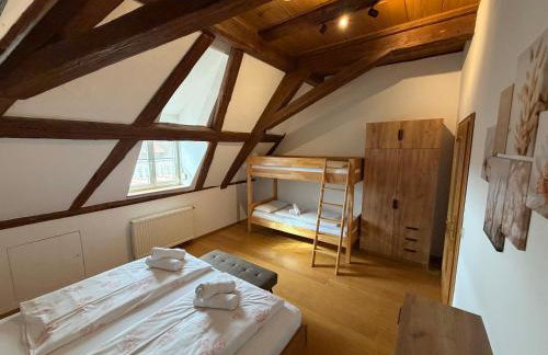 Hagnau, Irseer Hof Ferienwohnungen - Photo 18