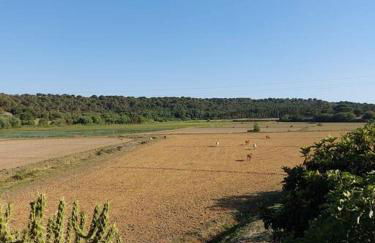 A Casa do Arez - Foto 28