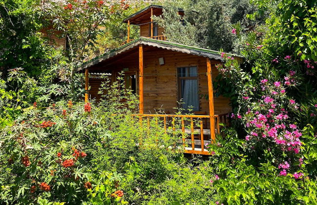 Fullmoon Camping - Photo 7