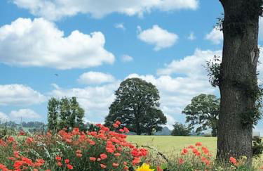 Spacious Cottage - Sleeps 4 - in the Black Mountains - Photo 58