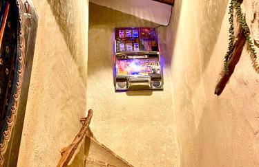 La Pequeña Cantonesa - Foto 20