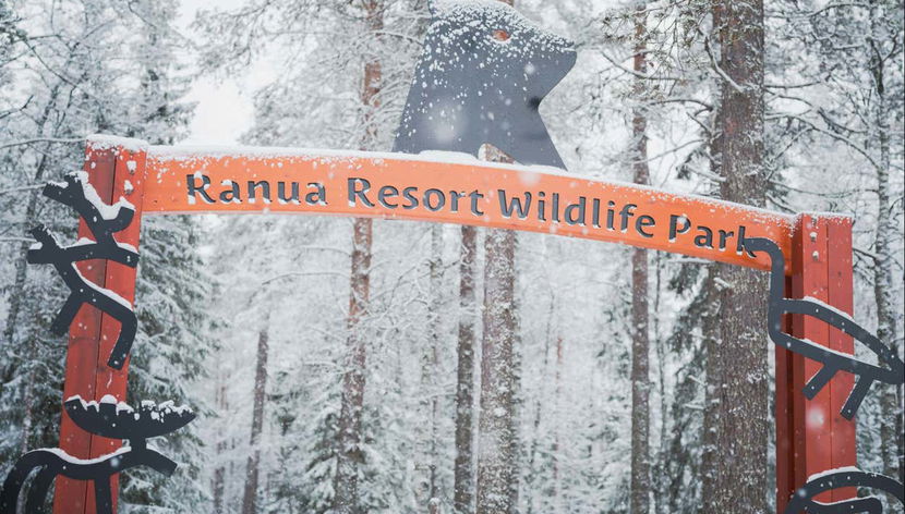 Ranua Wildlife Park Trip - Photo 2