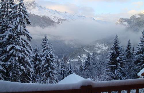 Chalet Clementine - Foto 15