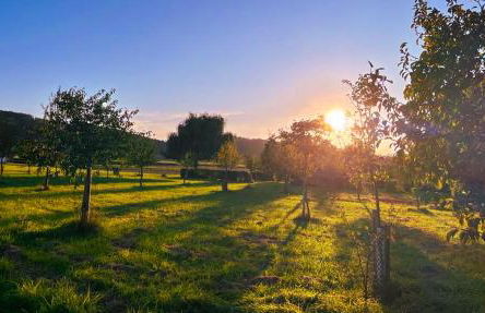 Time out in the Wiehengebirge - Foto 41