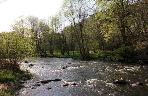 Ferienwohnungen mit Wellnessoase in Thale OT Altenbrak - Foto 19