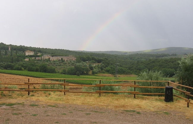 Agriturismo Podere Ficareto - Foto 67