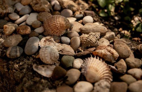 Apartman Silna your new home with terrace and garden - Foto 66