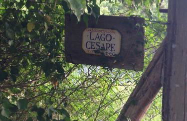 Casa Boschetto - Foto 48