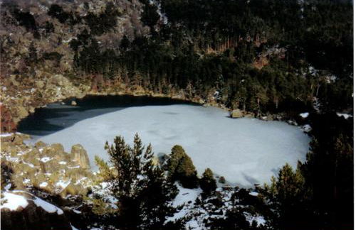 Los Trashumantes - Foto 7