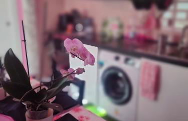 Secret Room Anagni - Foto 32