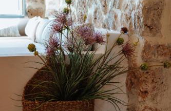 Villa Nevas Private Stone House with Pool and Seaview PARGA - Foto 28