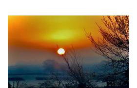 Little Glebe - Foto 7