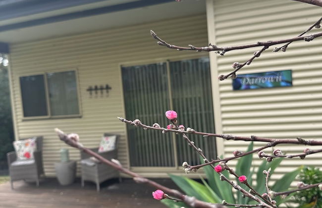 Blueberry Hills on Comleroy - Photo 40