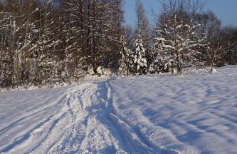 Uroczy Domek z Kominkiem - Foto 41