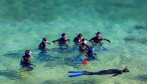Vue aérienne sur le Parc Naturel du Détroit