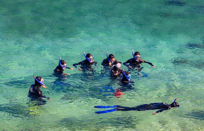 Snorkeling dans le parc naturel du Détroit - Photo 3