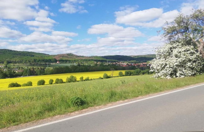 Spacious Holiday Home in Wienrode near Braunlage Ski Area - Foto 38