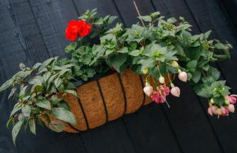 The Haybarn - Foto 60