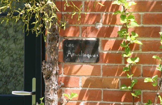 Les Amouhoques - Foto 11