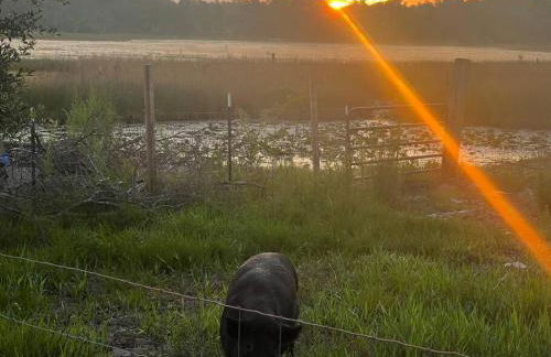 Half Moon Lake Retreat - Foto 15