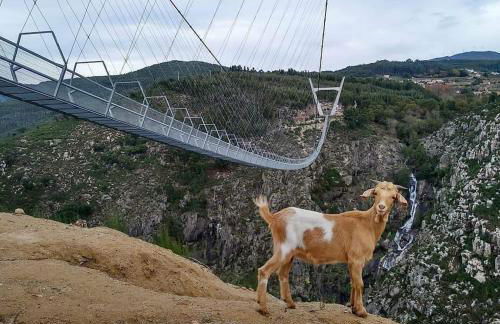 Casa da Tia Bina - Foto 62