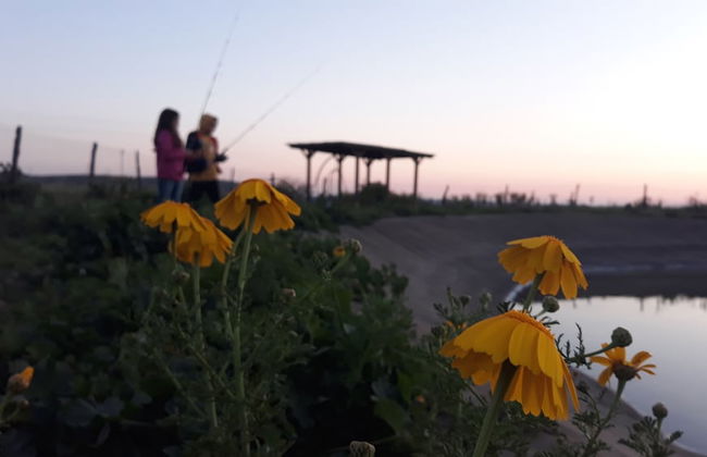 Colle San Mauro - Foto 33