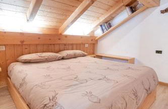 Chalet Bike & Family - Photo 41